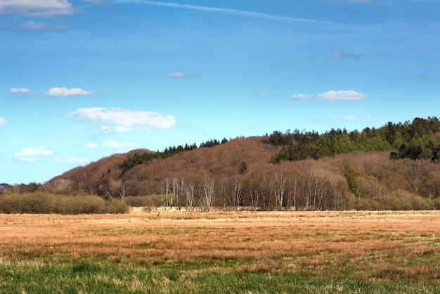 Landschaftsansicht von Hügeln oder Bergen mit Kiefernwäldern in Deutschland Üppiges Herbstlaub mit Wäldern in abgelegenen Feldern oder auf dem Land Umweltschutz von Naturschutzgebieten oder Wiesen für den Tourismus
