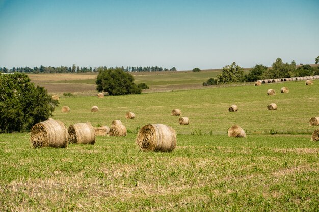 Landschaftsansicht von Uruguay