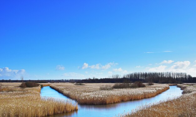 Foto landschaftsansicht vor blauem himmel