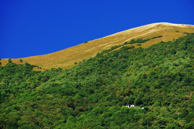 Foto landschaftsansicht vor blauem himmel