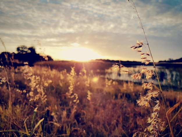 Landschaftsansicht vor dem Himmel bei Sonnenuntergang