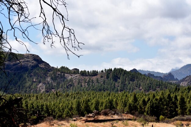 Foto landschaftsansicht vor dem himmel