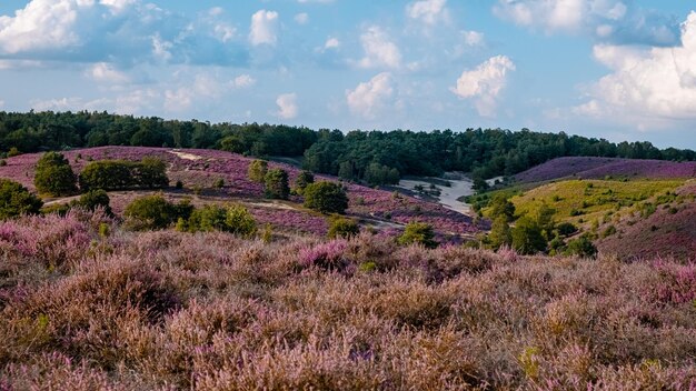 Foto landschaftsansicht vor dem himmel