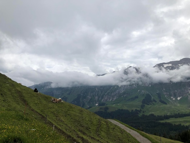 Foto landschaftsansicht vor dem himmel