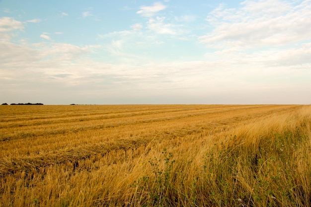 Landschaftsansicht vor dem Himmel