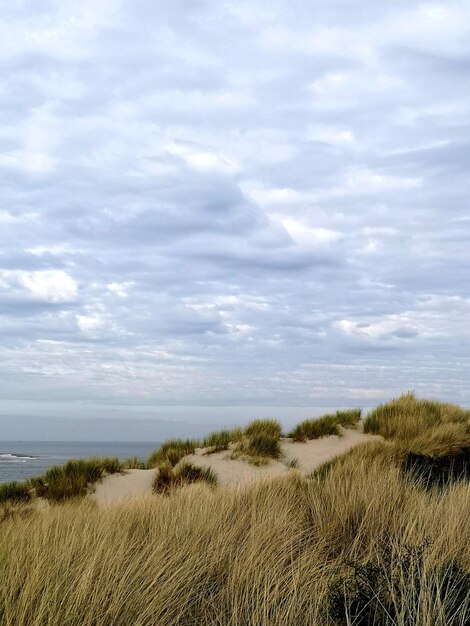 Foto landschaftsansicht vor dem himmel