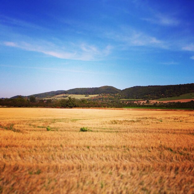 Landschaftsansicht vor einem bewölkten Himmel