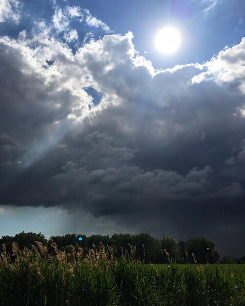 Landschaftsansicht vor einem bewölkten Himmel