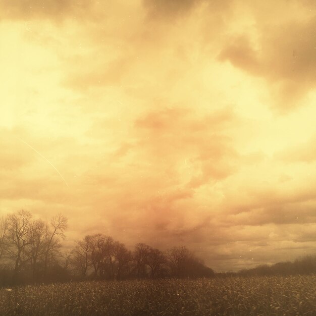 Foto landschaftsansicht vor einem bewölkten himmel