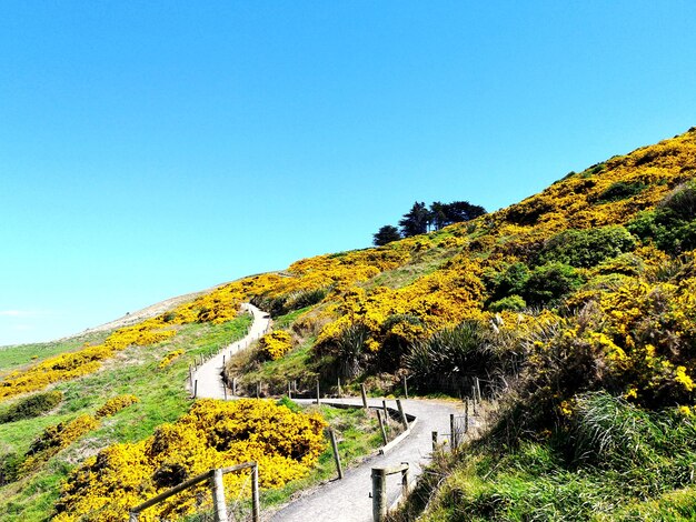 Landschaftsansicht vor klarem blauem Himmel