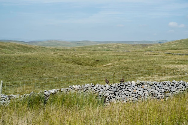 Foto landschaftsansicht