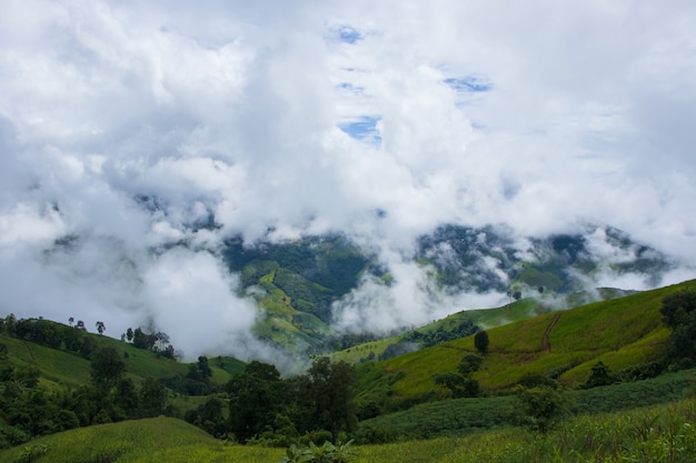 Landschaftsberg und -nebel in der grünen Jahreszeit der Regenzeit Naturlandschaft