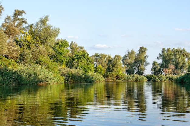 Landschaftsbild einer großen Flussufervegetation