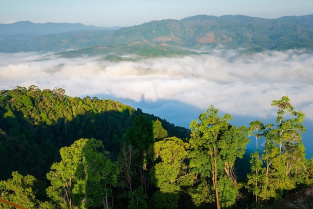 Foto landschaftsbilder von sehenswürdigkeiten in der provinz yala, südthailand die ganze milchstraße schöner morgennebel, geeignet für reisen.