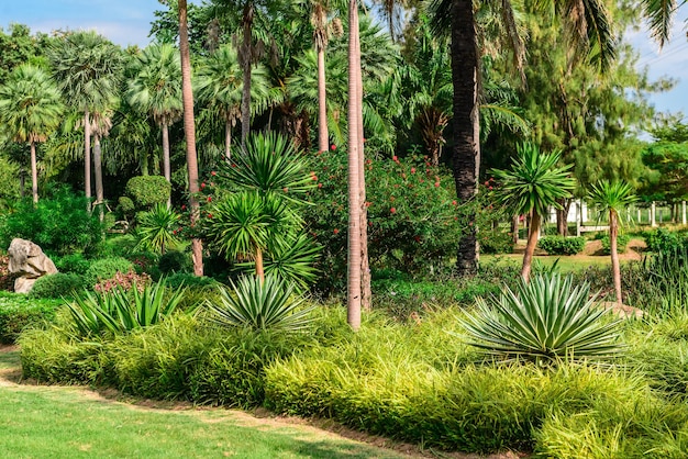 Landschaftsdesign. Parken Sie in Thailand