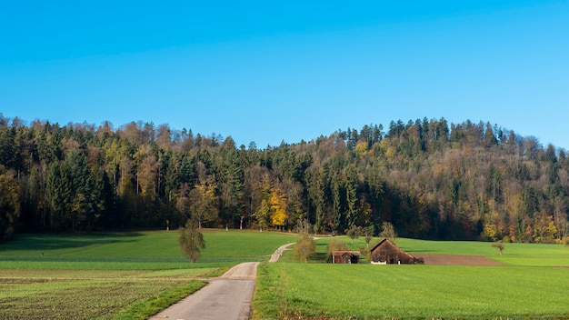 Landschaftsfeld mit blauem Himmel