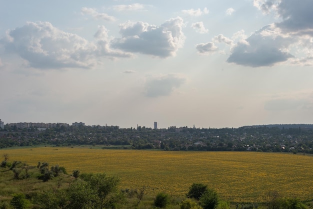Landschaftsfelder im sommer mit gelbem trockenem gras august ukraine