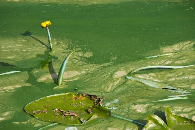 Landschaftsfotografie