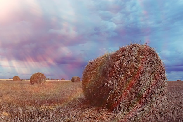 Landschaftsheuhaufen in einem Feld des Herbstdorfes