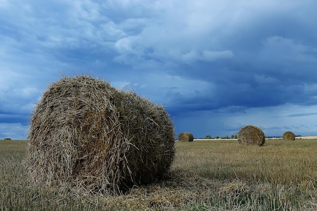 Landschaftsheuhaufen in einem Feld des Herbstdorfes