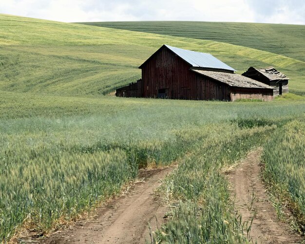 Landschaftshintergrund Foto von wunderschöner Natur
