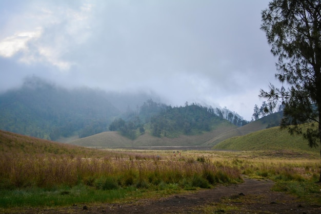 Landschaftslandschaft des Berges Semeru