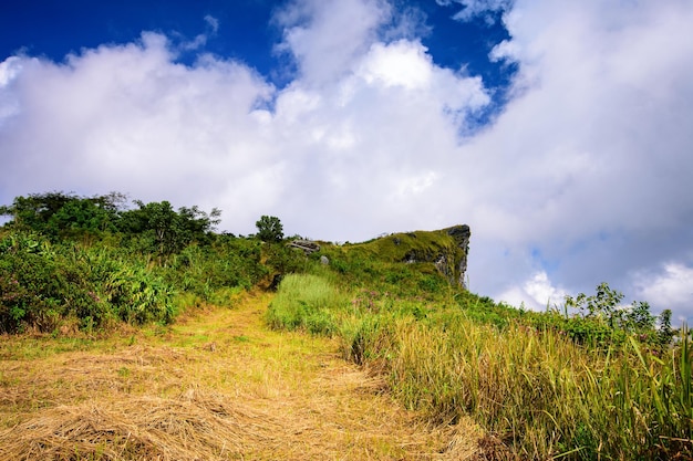 Landschaftsmorgen im Phu Chi Fa Forest Park Thailand