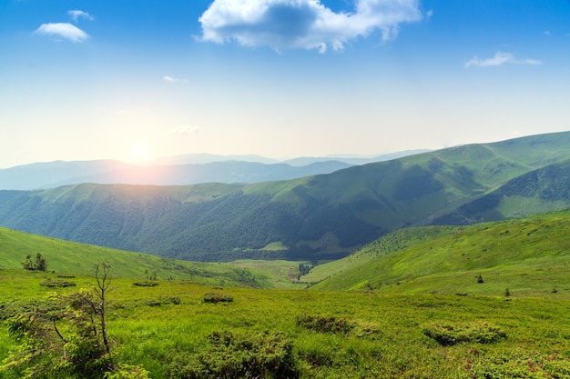 Landschaftspanorama der Karpaten in der Ukraine bei Sonnenaufgang im heißen Sommer