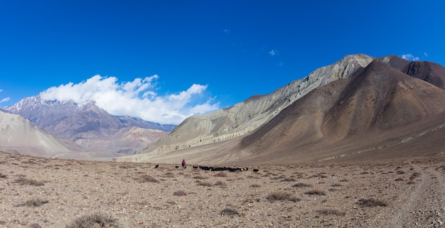 Landschaftspanoramablick auf große schneebedeckte Himalaya-Berge Nepal-Everest-Gebiet