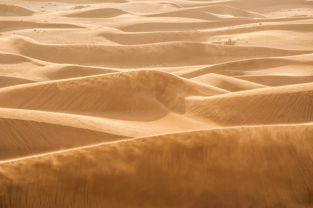 Landschaftssanddünen in der Wüste mit Wind, der vom Sand weht