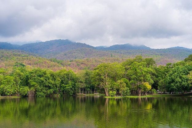 Landschaftsseeansichten an der ang kaew chiang mai-universität im naturwald bergansichten frühling bewölkten himmelshintergrund mit weißer wolke.