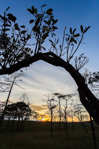 Landschaftssilhouette am Phu Soi Dao Nationalpark Thailand