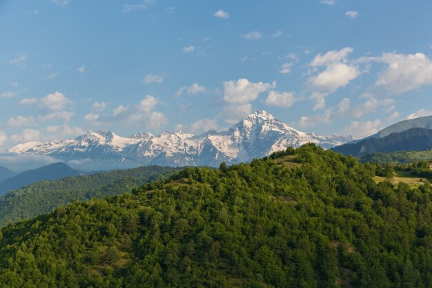 Landschaftssommer und schneebedeckte Berggipfel in der Nähe des Dorfes Mestia, Georgia