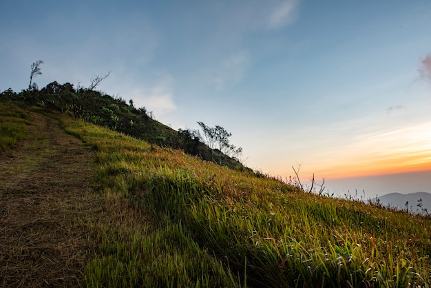 Landschaftssonnenaufgang auf dem Berg mit Feld und Graswiese schönen Himmel