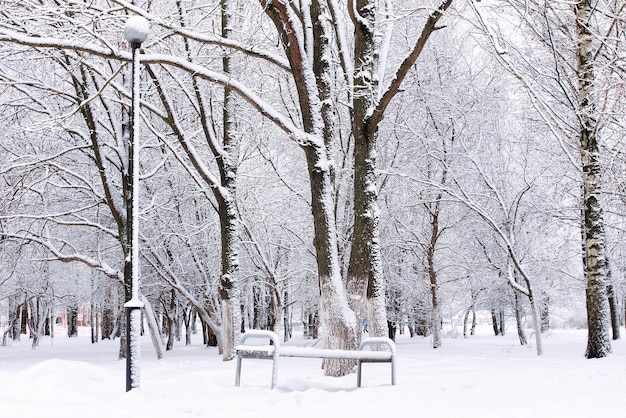 Landschaftsstädtischer Central Park am ersten verschneiten Wintertag