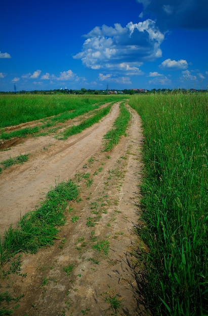 Landschaftsstraße auf Sommerfeldhintergrund