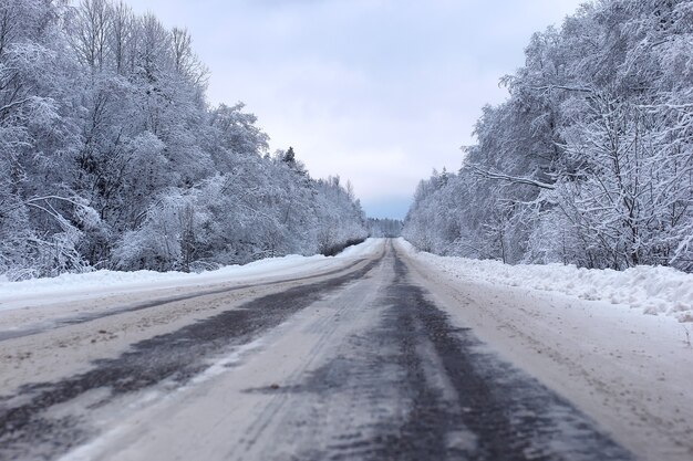 Landschaftsstraße im Winterwald mit schneebedeckter Wildnis