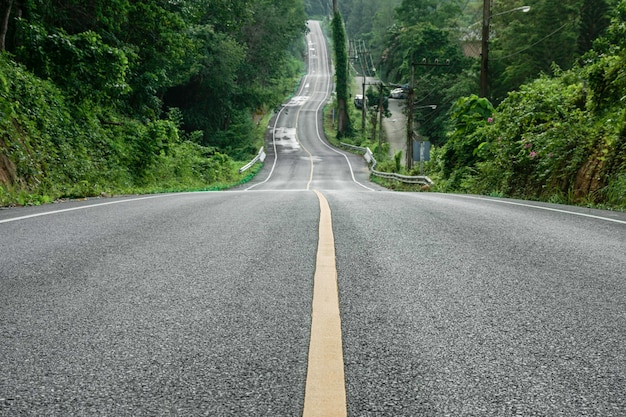 Landschaftsstraße mit grünem Wald