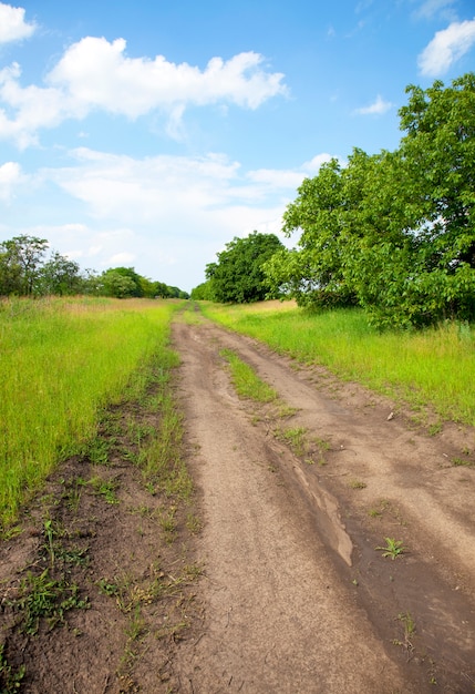 Landschaftsstraße nahe Weizenfeld