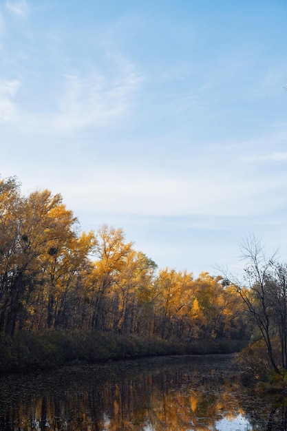 Landschaftssumpf im herbstlichen Wald