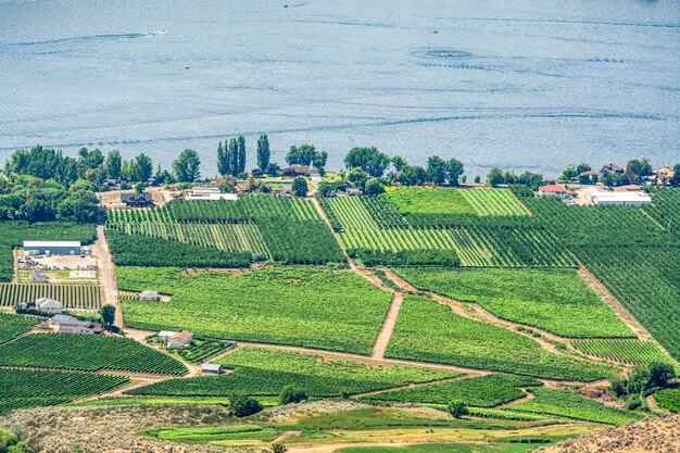 Landschaftsübersicht mit Bauernland am Okanagan-See an einem Sommertag