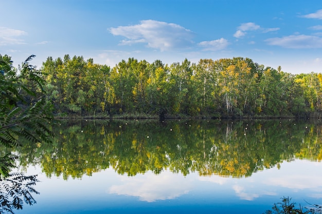 Landschaftswaldbäume in der Spiegelreflexion des Wassers