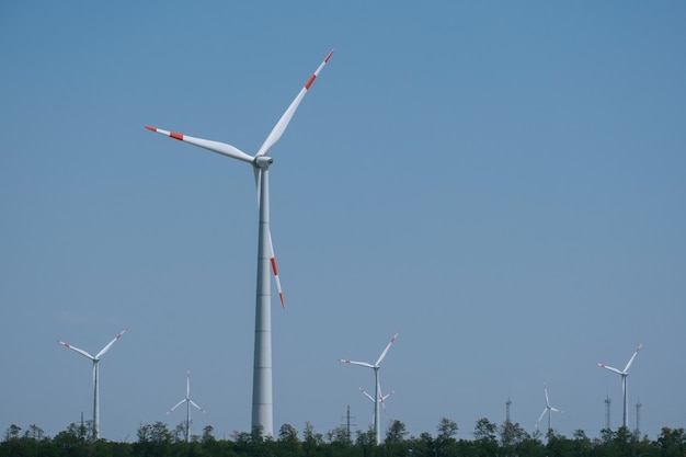 Landschaftswindpark auf blauem himmel