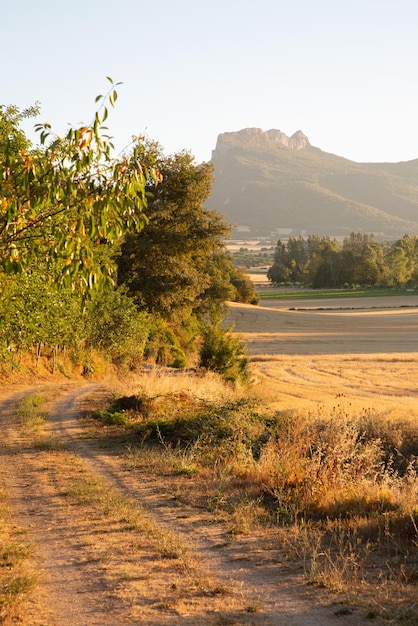 Landspur in Genevilla, Navarra, Spanien