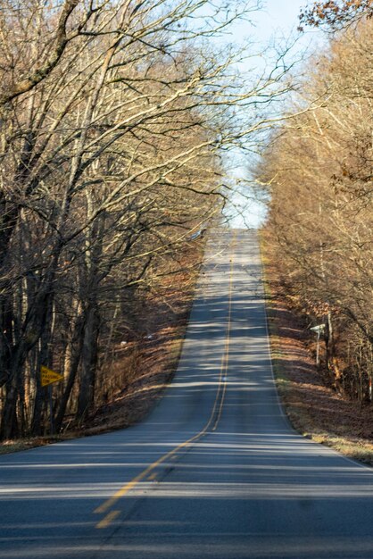 Foto landstraße an einem kalten dezembermorgen im süden von illinois