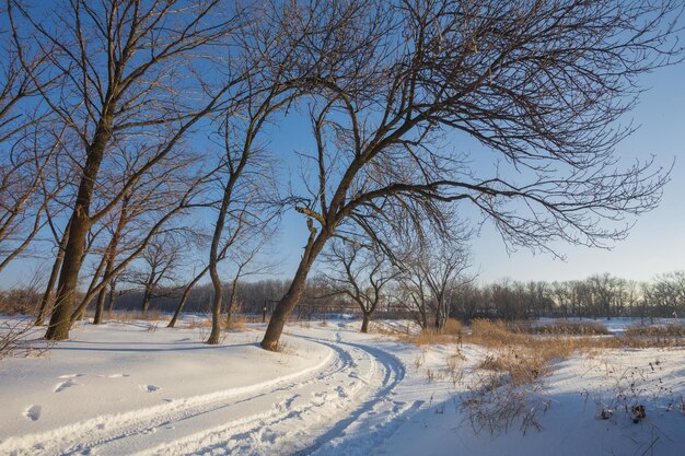 Landstraße durch Winterwald