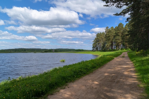 Landstraße im Park nahe kleinem See im Herbst