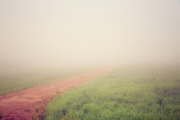 Landstraße im Stadtgebiet mit weißer Morgennebel-Wiesenlandschaft