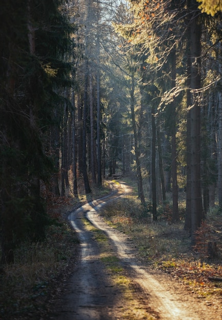 Landstraße in den Sudetenbergen in Polen