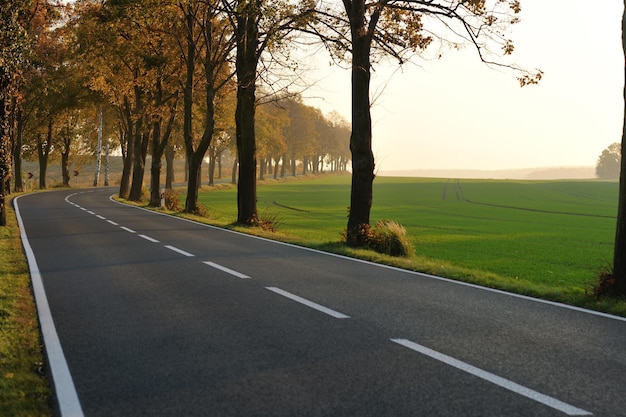 landstraße in der herbstsaison mit leuchtend orangefarbenen farben bei sonnenaufgang am morgen